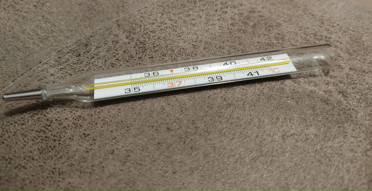 Эксперт Махова объяснила, почему при высокой температуре нельзя принимать ванну