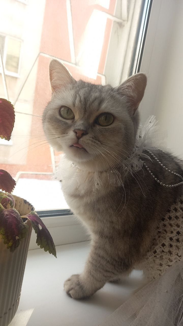 погода, фото подписчика.jpg