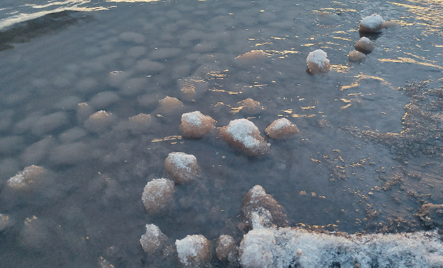 На саратовском пляже заметили таинственные шары