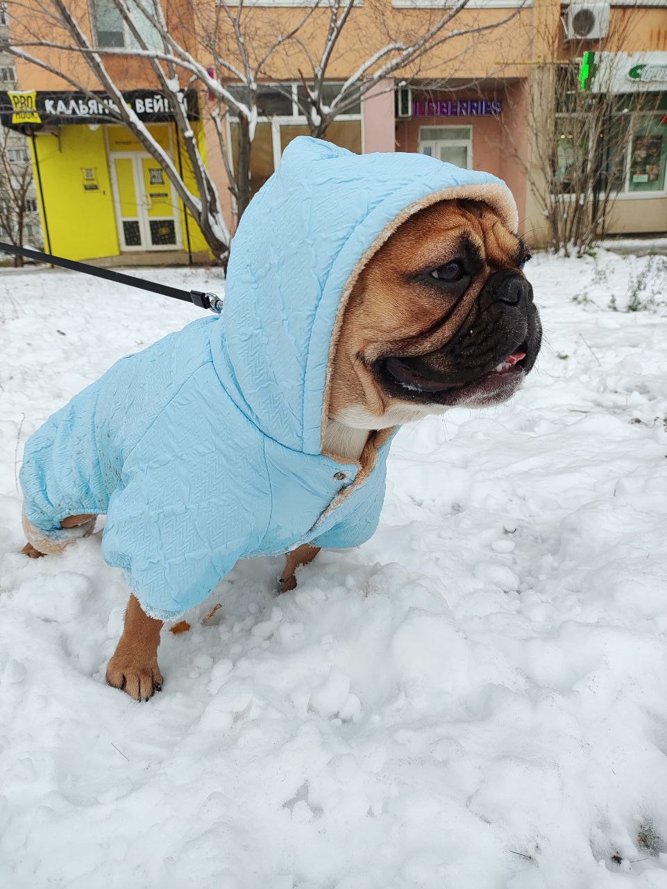 Начало недели будет морозным в Саратове