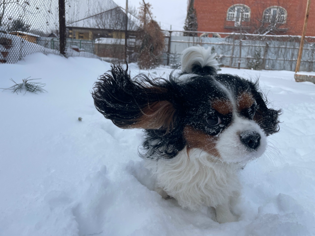 По Саратовской области 3 февраля пройдут сильные снегопады