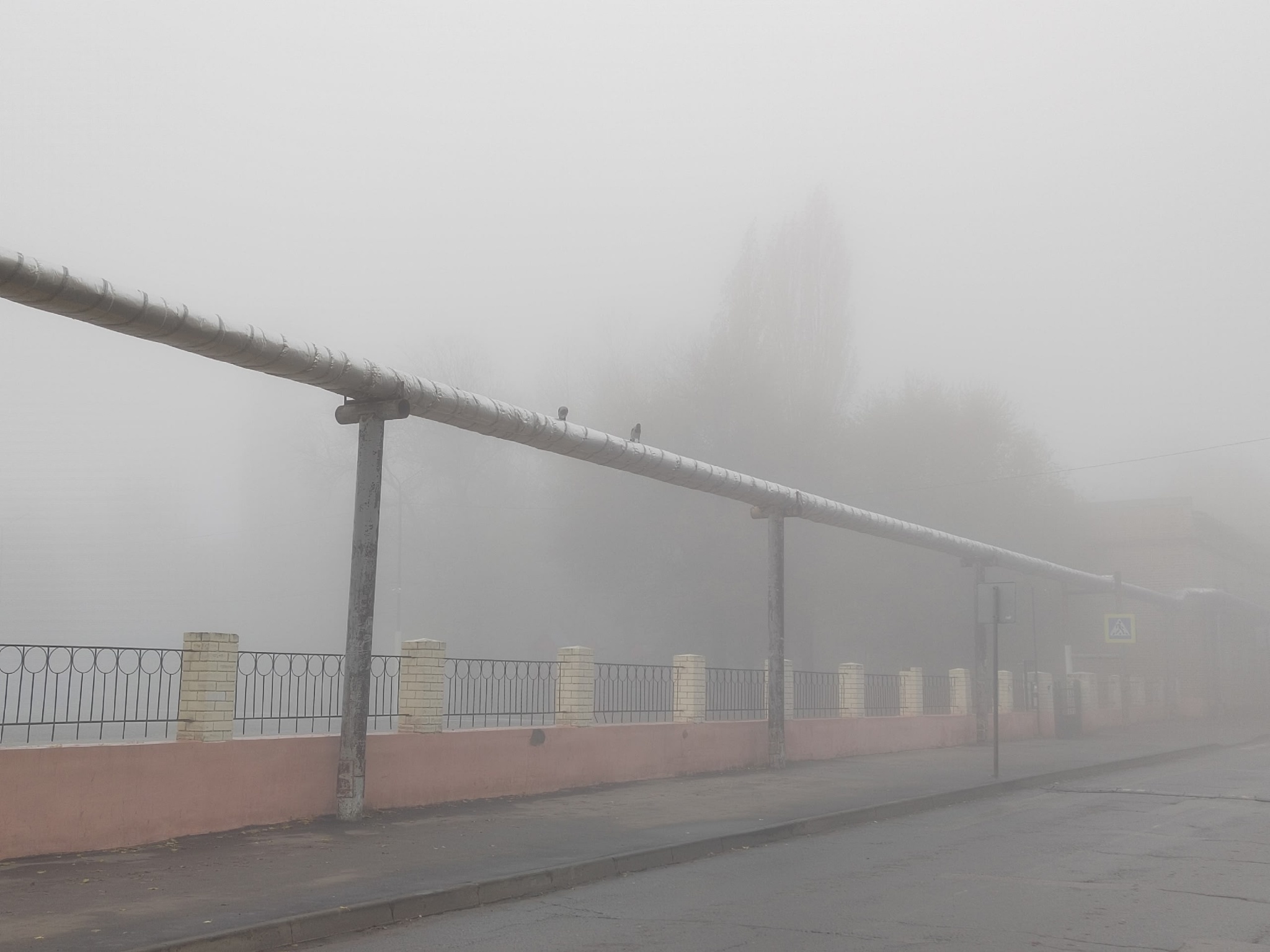 Погода 7 февраля: видимость ниже 500 метров и снежные заносы на дорогах