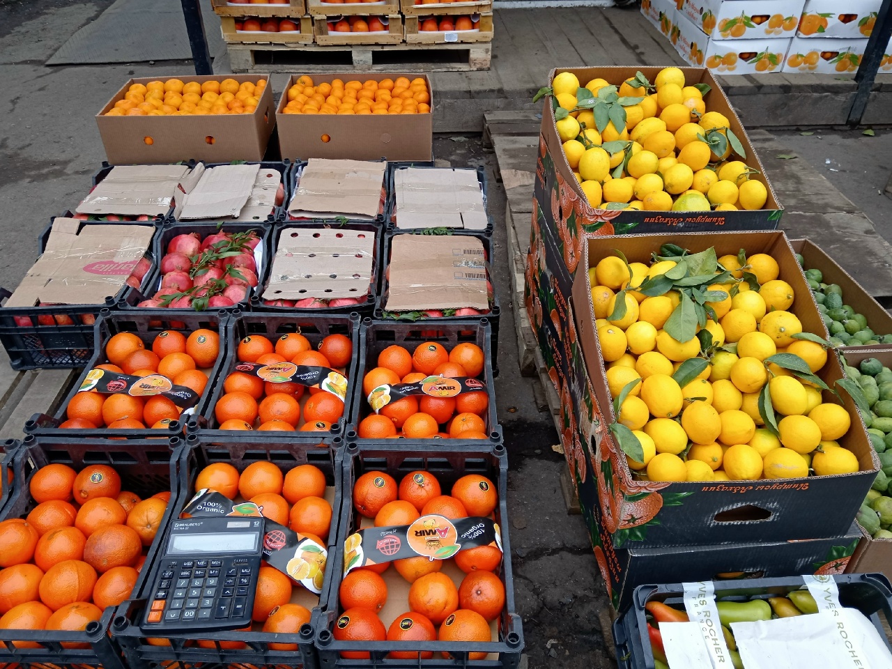 Предприниматель Мордвинова рассказала о поставщике груш и цитрусовых в Россию