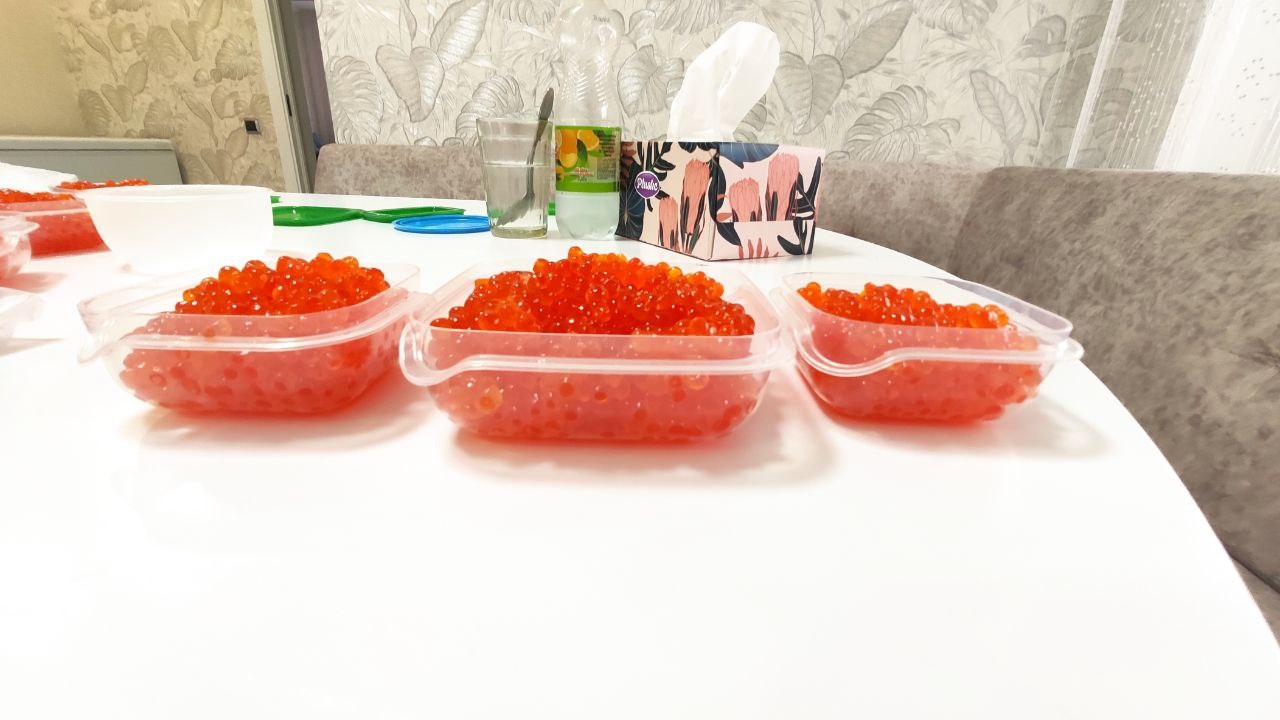 Саратовцам объяснили, как купить качественную икру и не нарваться на подделку