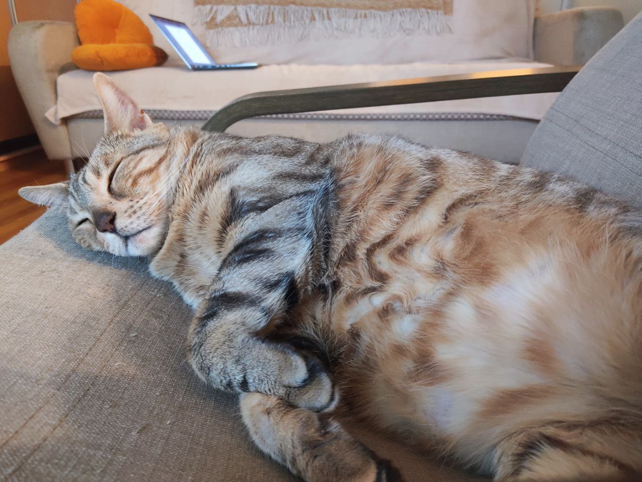 Саратовцев предупредили о последствиях установки повторных будильников