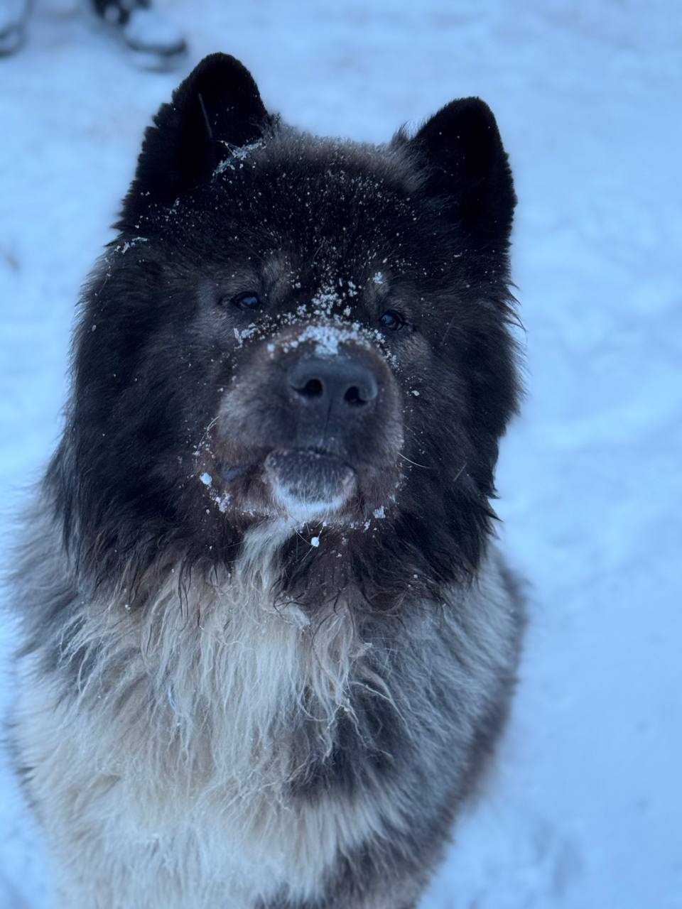 Сегодня самый холодный день недели в Саратове