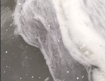 Снежуру заметили на Волге в Саратове