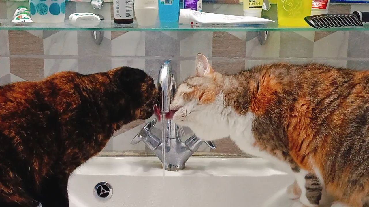 Тысячи саратовцев проведут четверг без воды