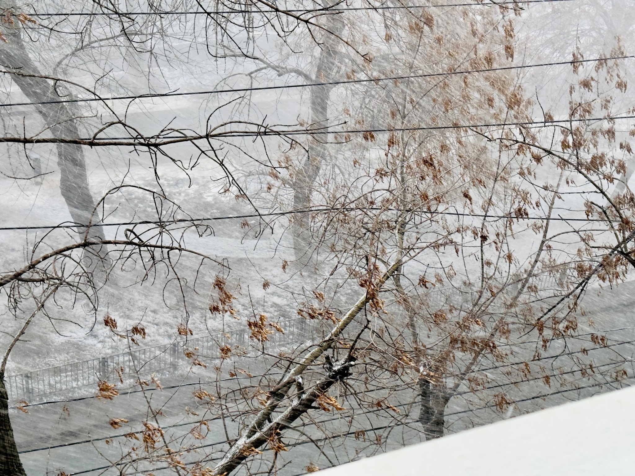 Зима, ветер