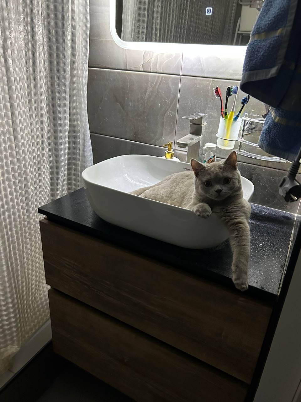 В Саратове сегодня облачно