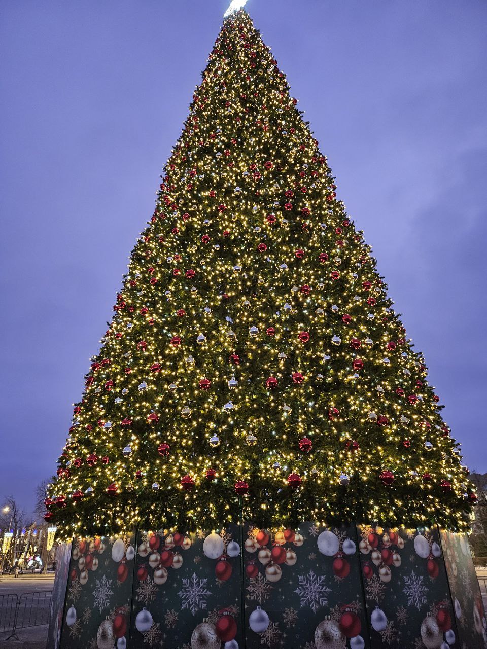 погода, елка.jpg