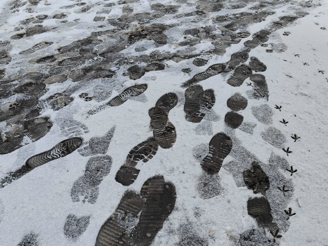 В выходные жители Саратовской области передохнут от аномальных морозов