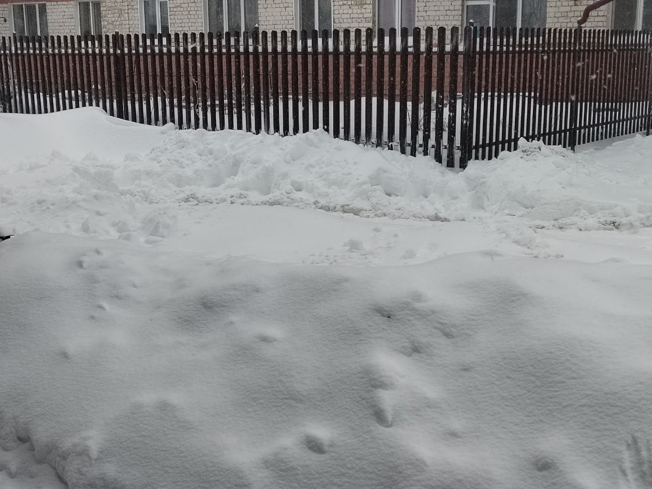 Саратовские власти мобилизуют коммунальщиков из-за надвигающихся снегопадов