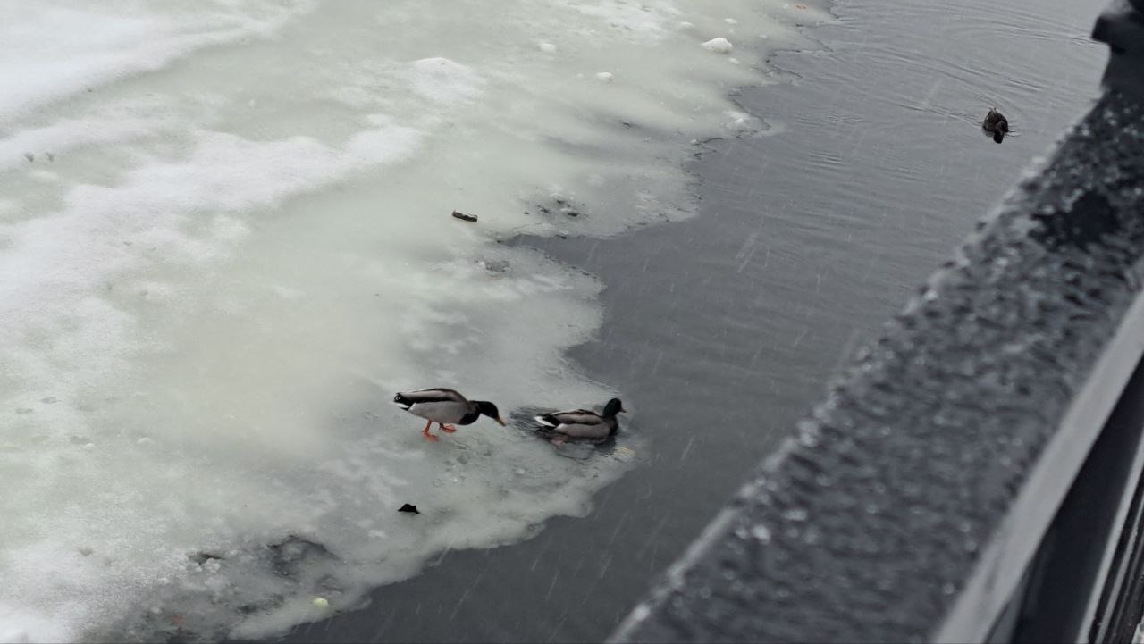 Вторник в Саратове будет морозным и снежным