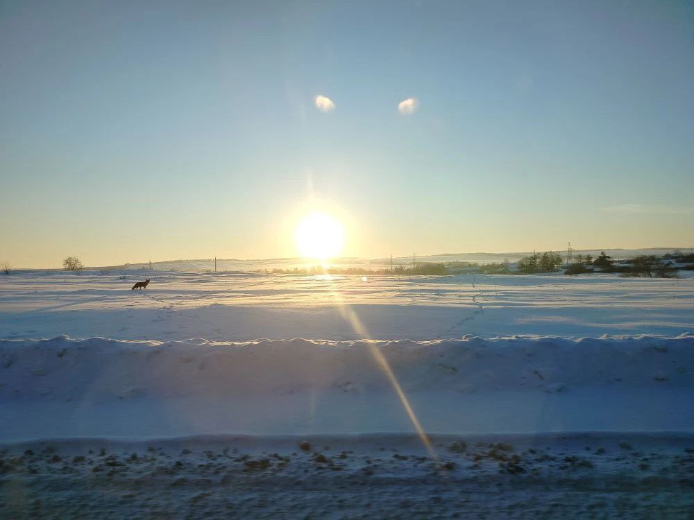 погода, солнце, фото подписчика.jpg